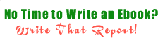 WriteThatReport
