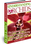 Understanding Orchids