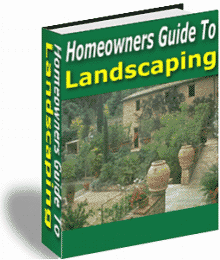 Homeowner's Guide To Landscaping