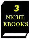 3 Niche Ebooks with Resell Rights